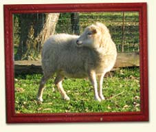 Inge am Spie&szlig;