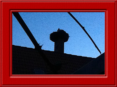 borte